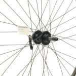 700c hybrid wheel qr disc mount freewheel